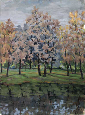 Костромитин Андрей Николаевич. Подмосковье